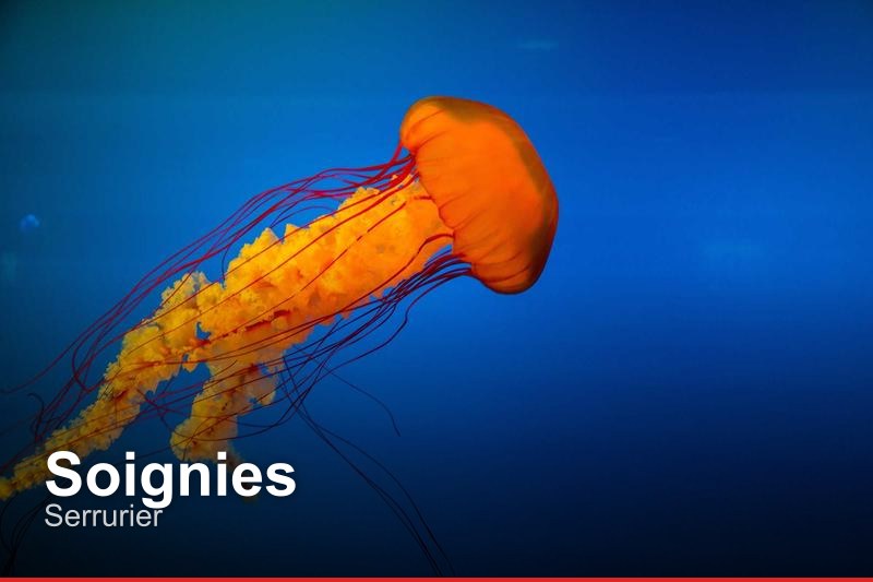 Serrurier à Soignies, Belgique - Trouvez un professionnel